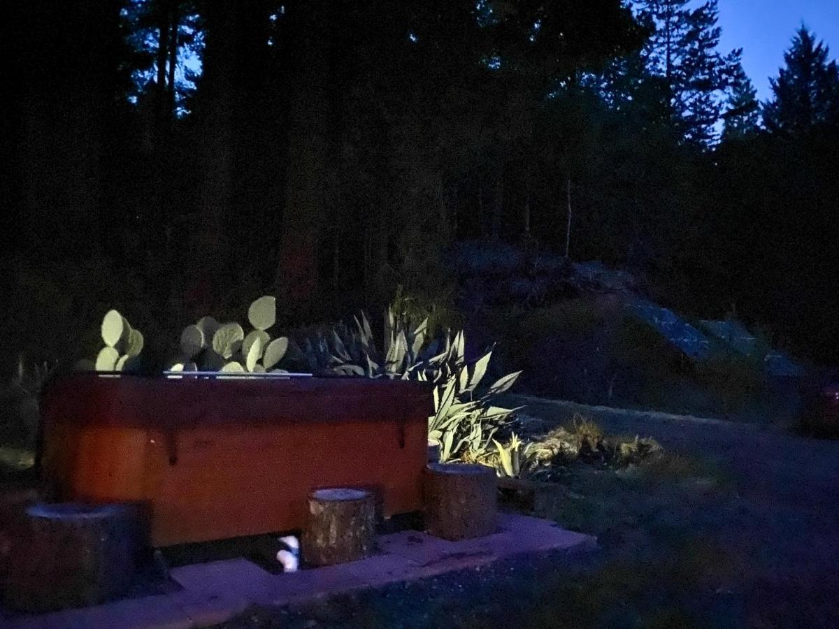 Glamping In The Redwoods With A Hot Tub! Hotel Гарбервил Екстериор снимка