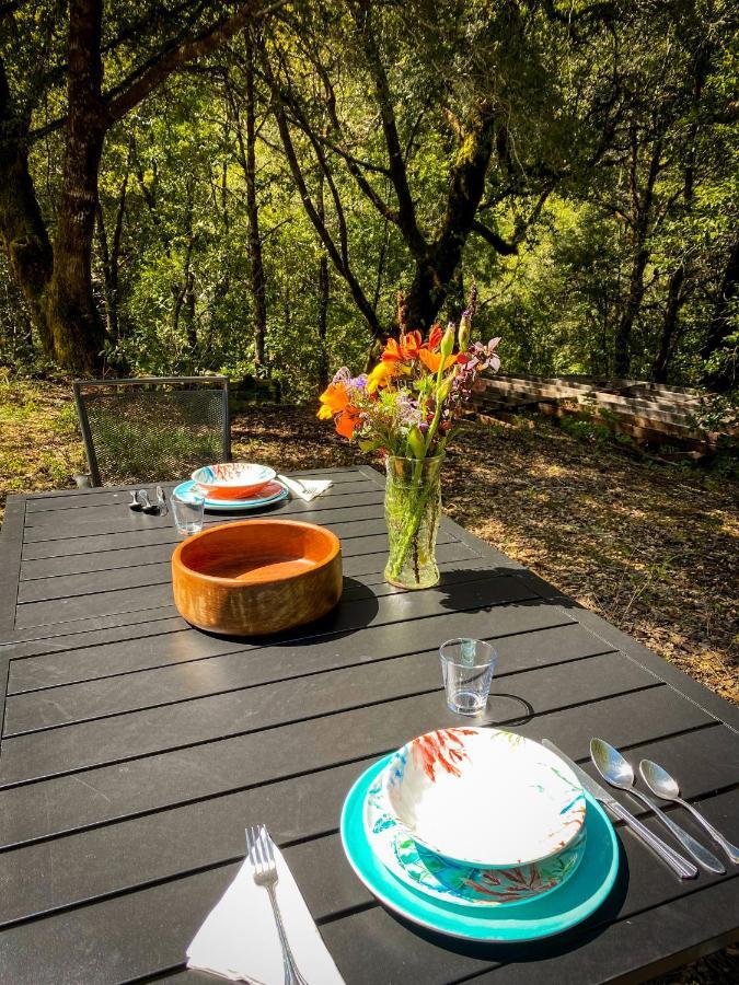 Glamping In The Redwoods With A Hot Tub! Hotel Гарбервил Екстериор снимка