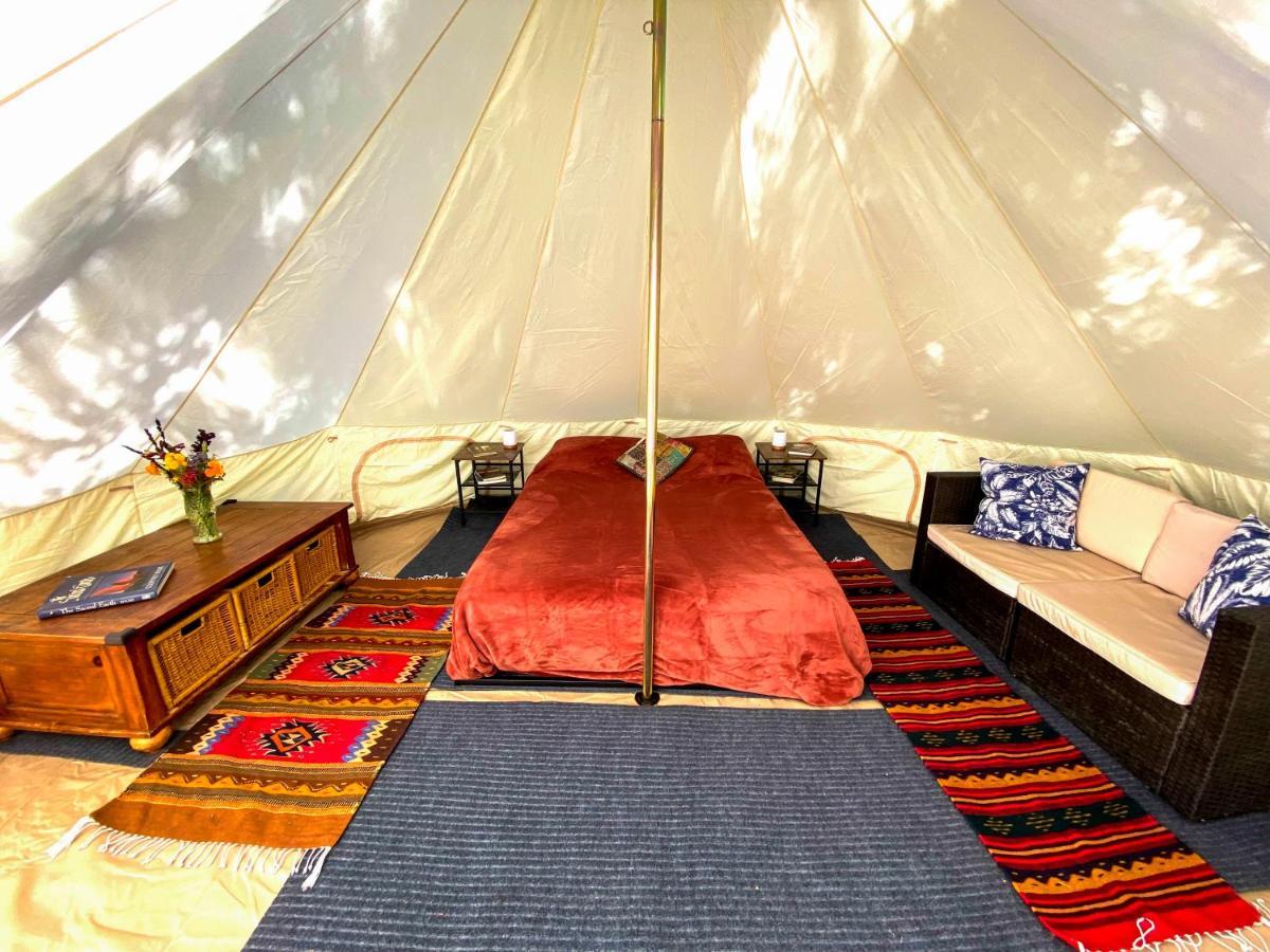 Glamping In The Redwoods With A Hot Tub! Hotel Гарбервил Екстериор снимка