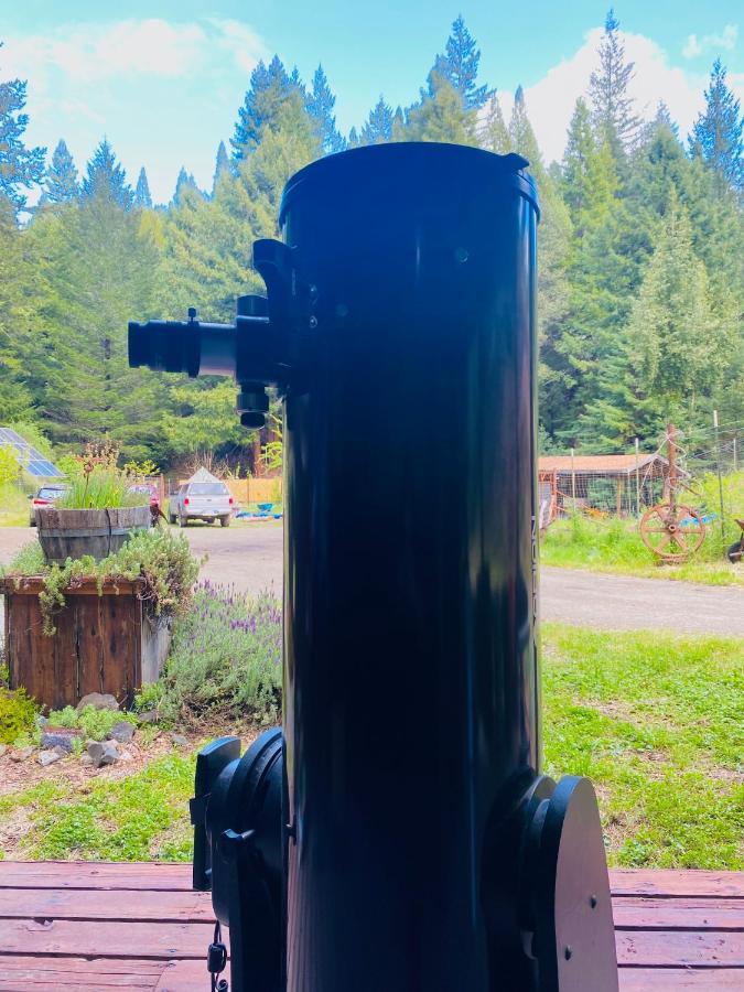 Glamping In The Redwoods With A Hot Tub! Hotel Гарбервил Екстериор снимка