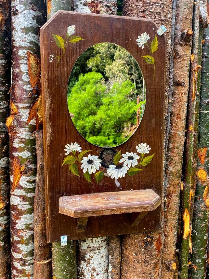Glamping In The Redwoods With A Hot Tub! Hotel Гарбервил Екстериор снимка